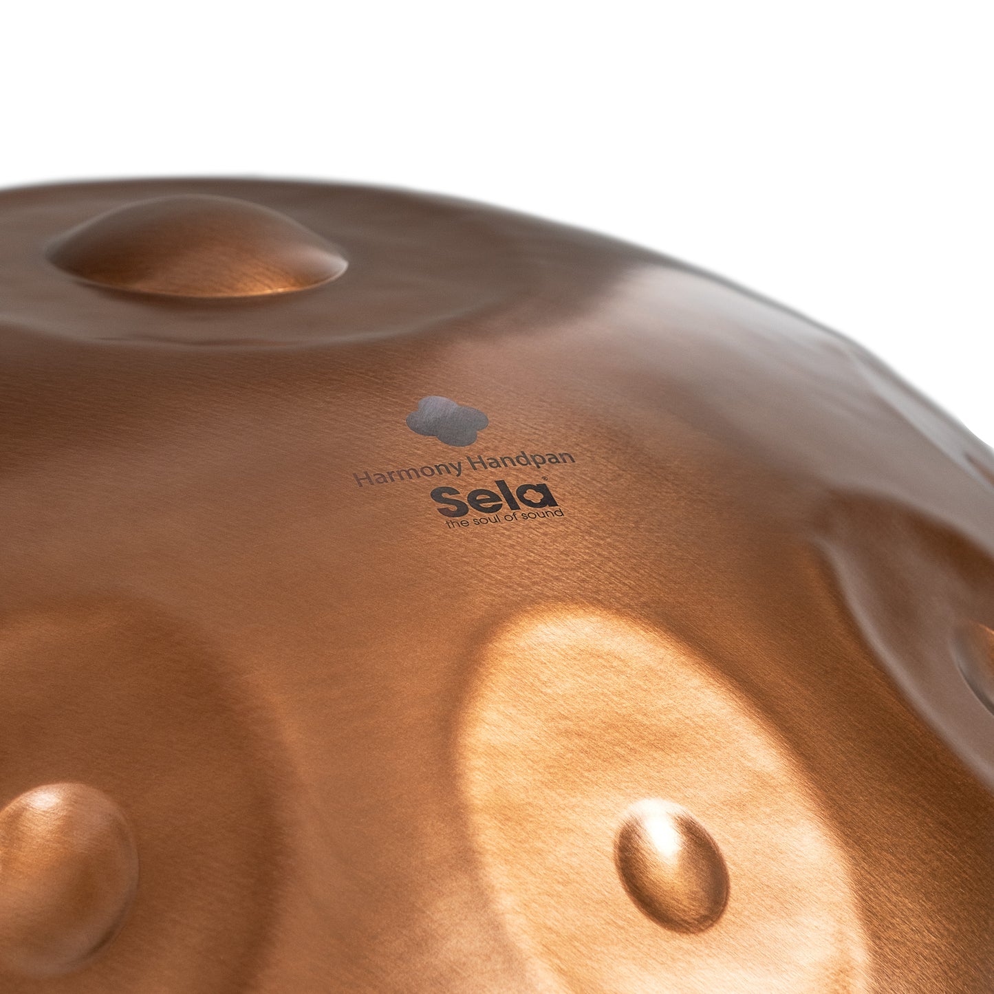 Harmony Handpan Phoenix Steel D Kurd 10