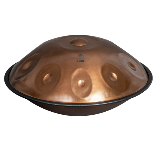 Harmony Handpan Phoenix Steel D Amara 10
