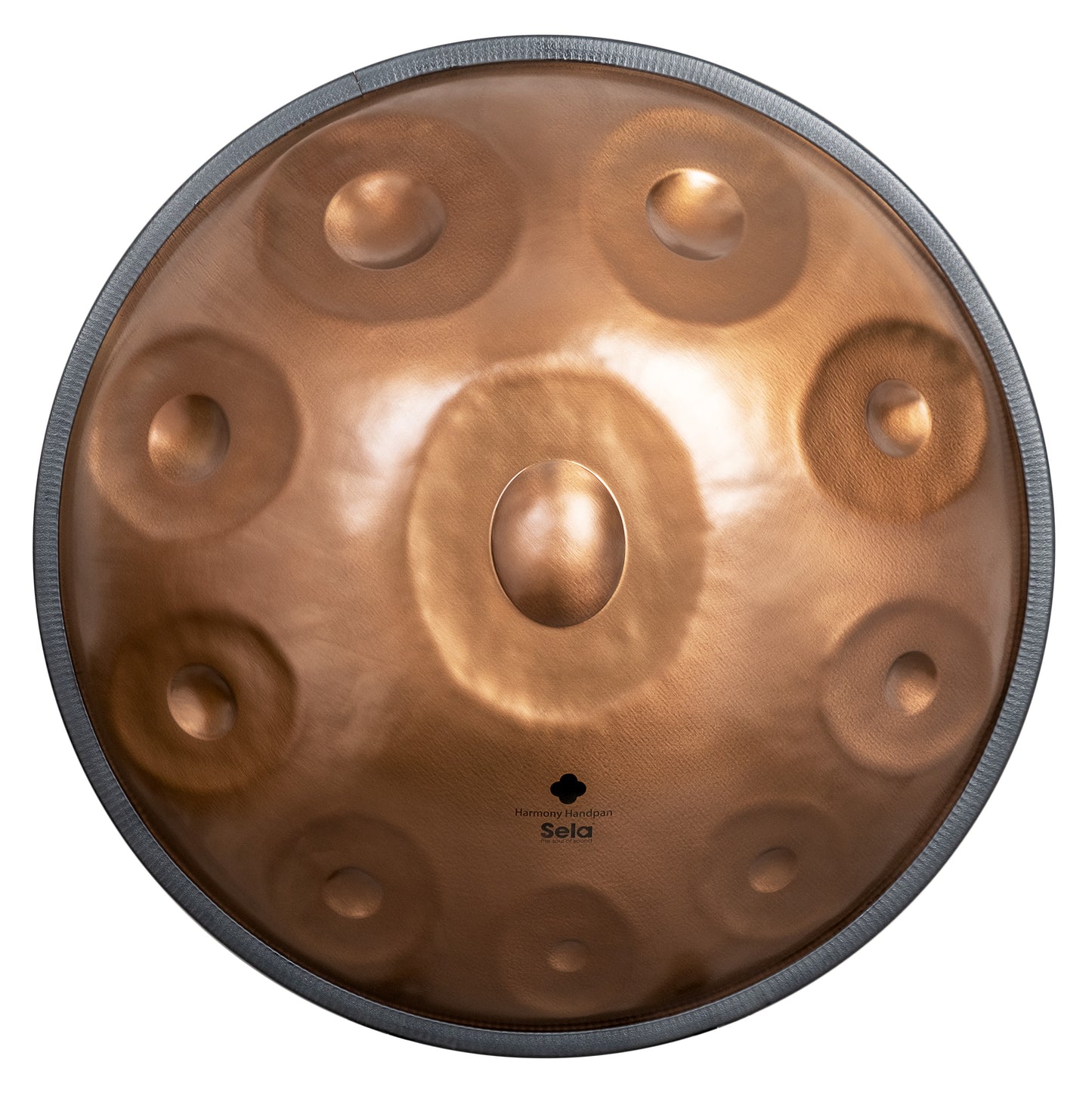 Harmony Handpan Phoenix Steel D Amara 10
