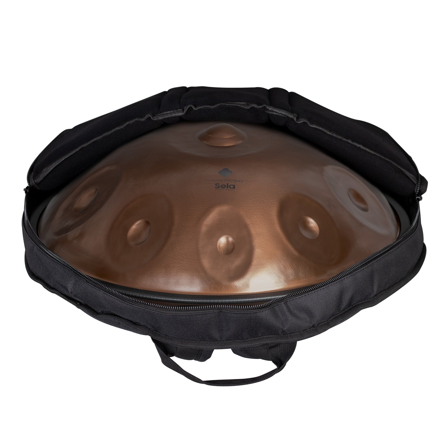 Harmony Handpan Ember Steel D Kurd 10