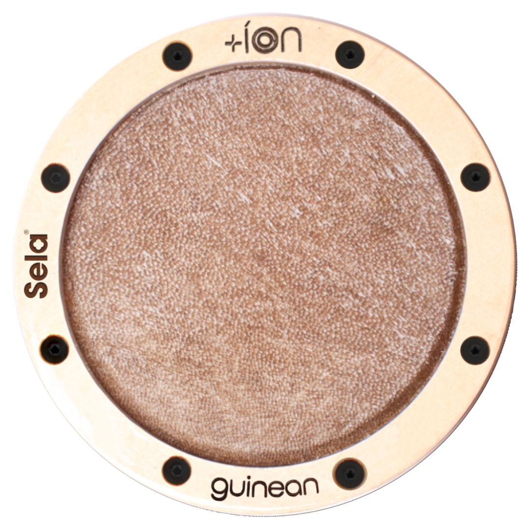 Guinean íon