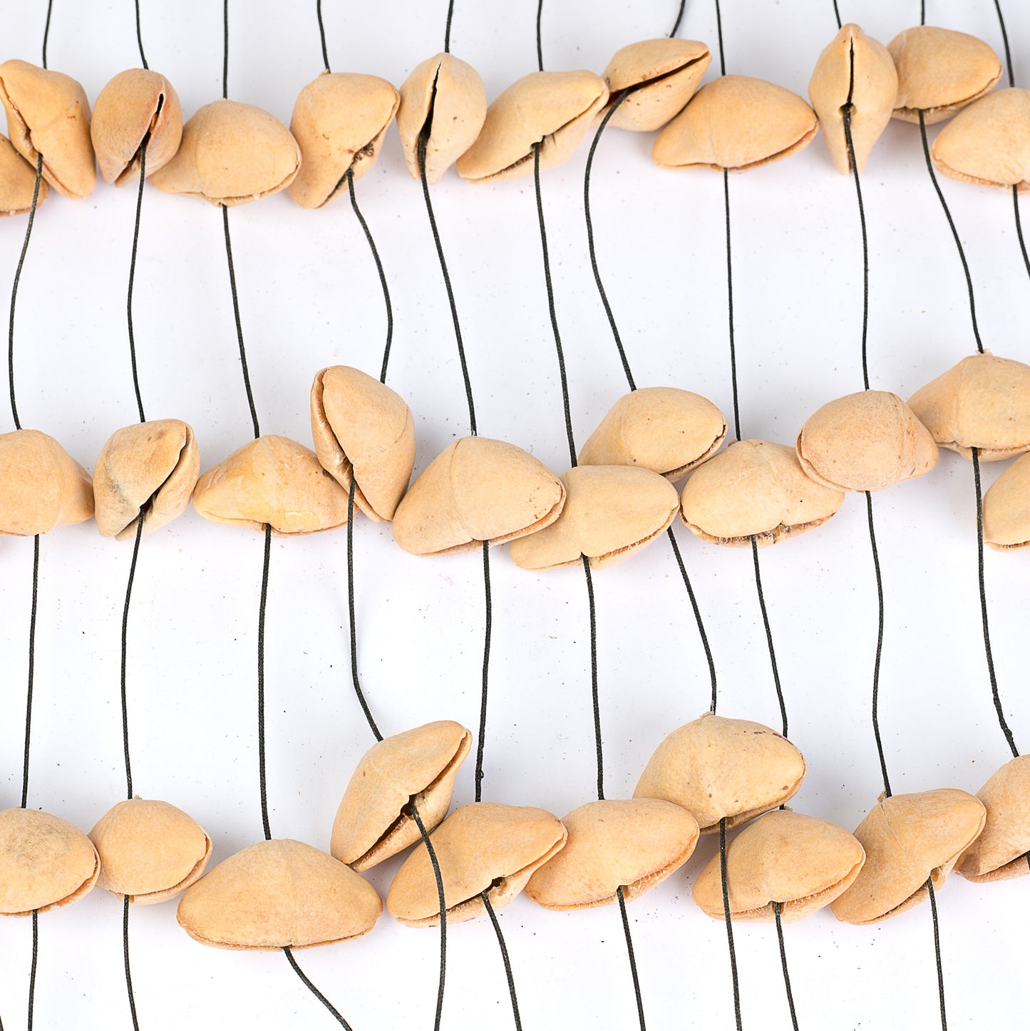 Sela Seed Chime Kenari