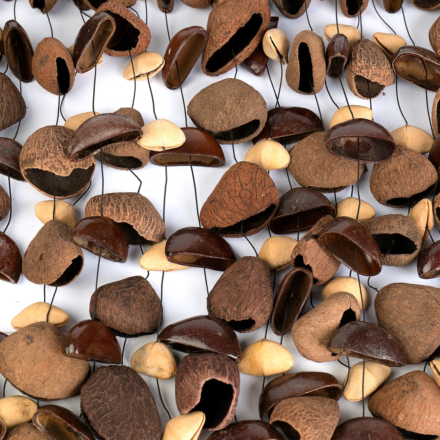 Sela Seed Chime Mixed