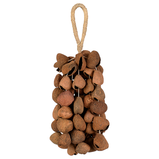 Sela Seed Shaker 6-row Pangi