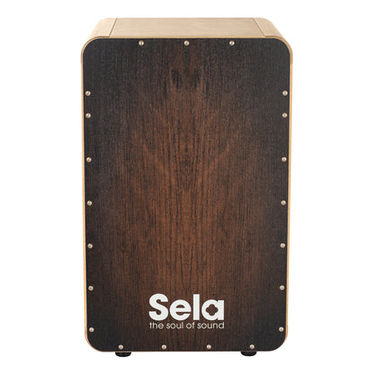 Sela CaSela Brown Dragon