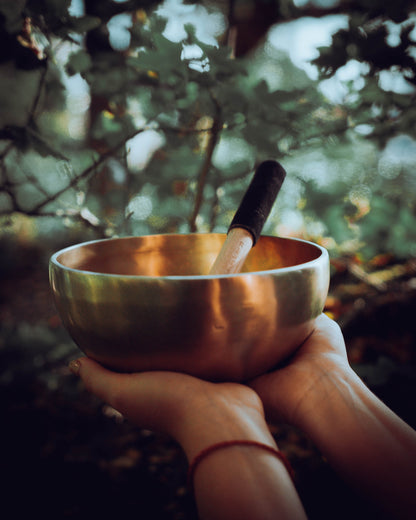 Harmony Singing Bowl 19