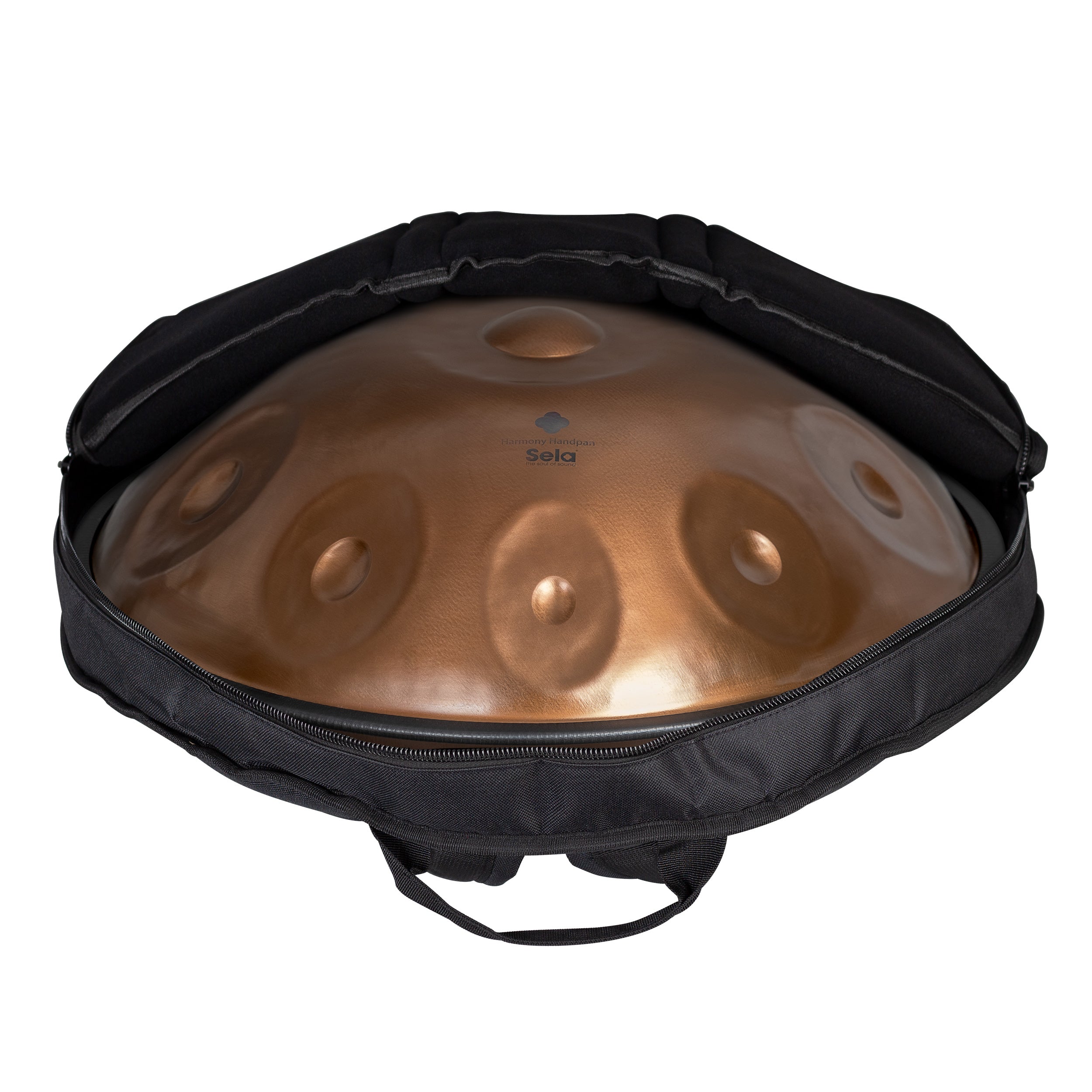 Harmony Handpan Phoenix Steel D Kurd 10 – Sela Percussion Shop