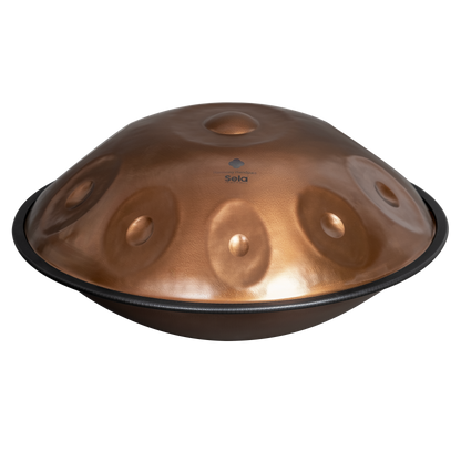Harmony Handpan Phoenix Steel D Amara 10