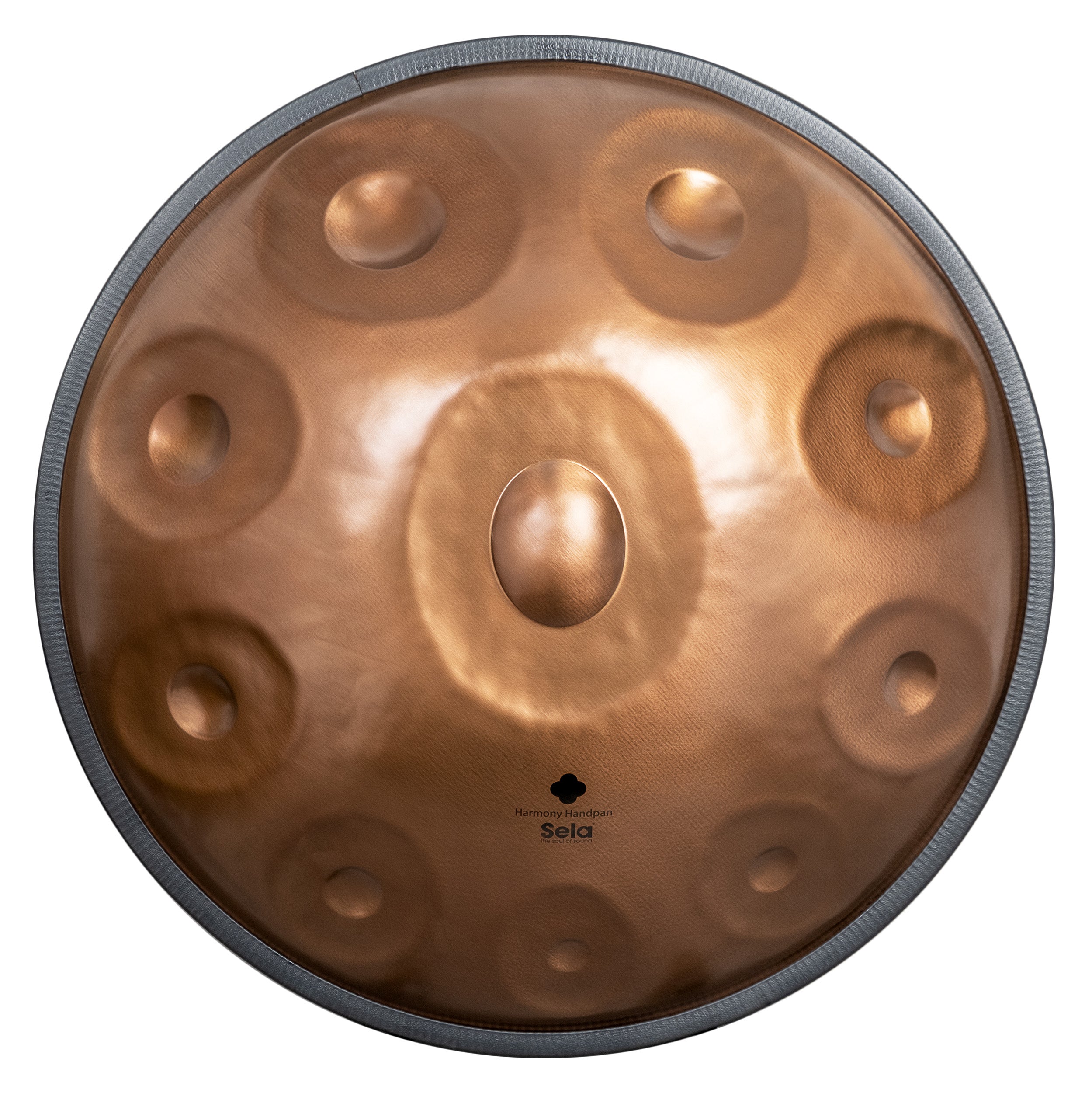 Harmony Handpan Phoenix Steel D Amara 10 – Sela Percussion Shop