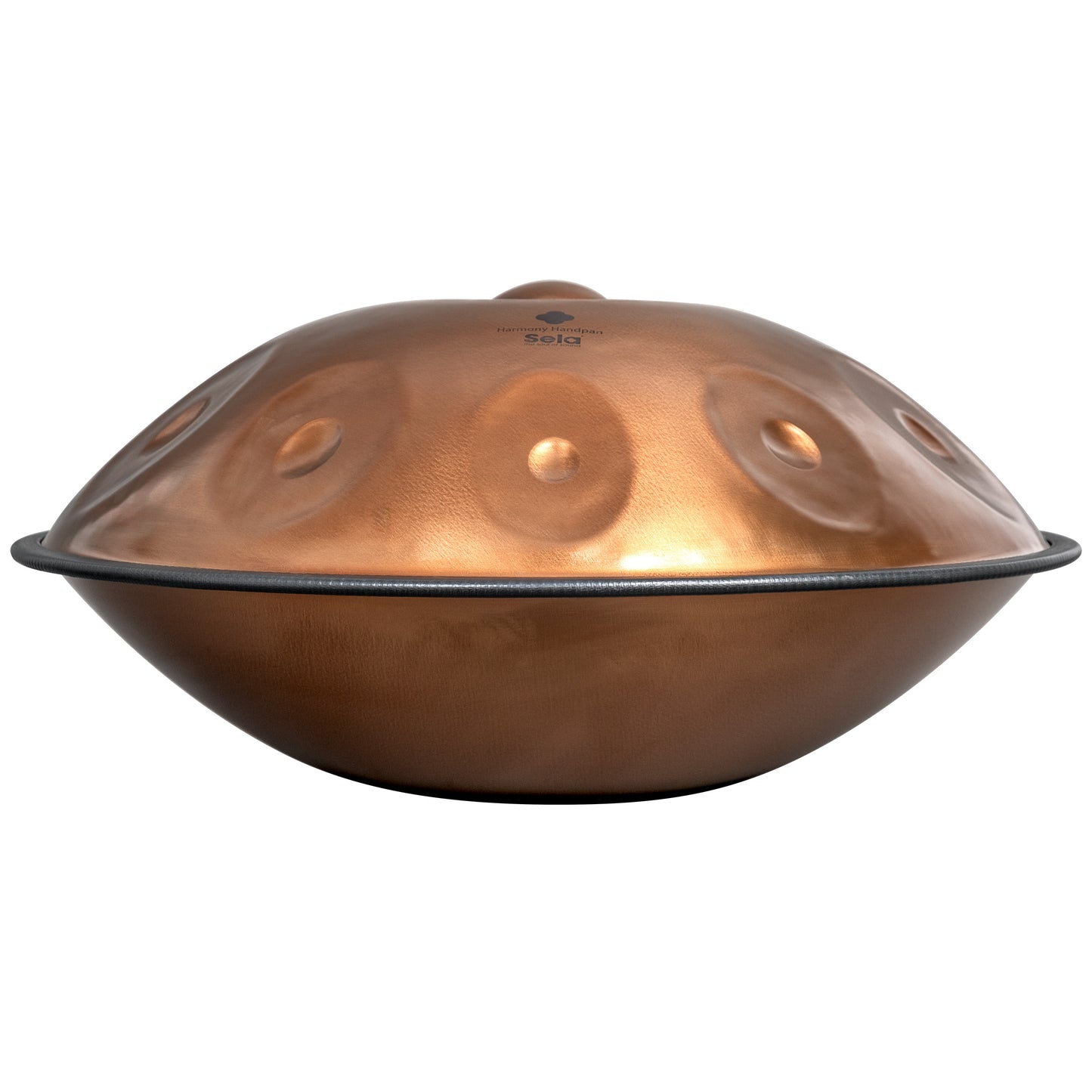 Harmony Handpan Phoenix Steel D Amara 10
