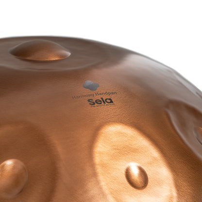 Harmony Handpan Phoenix Steel D Amara 10
