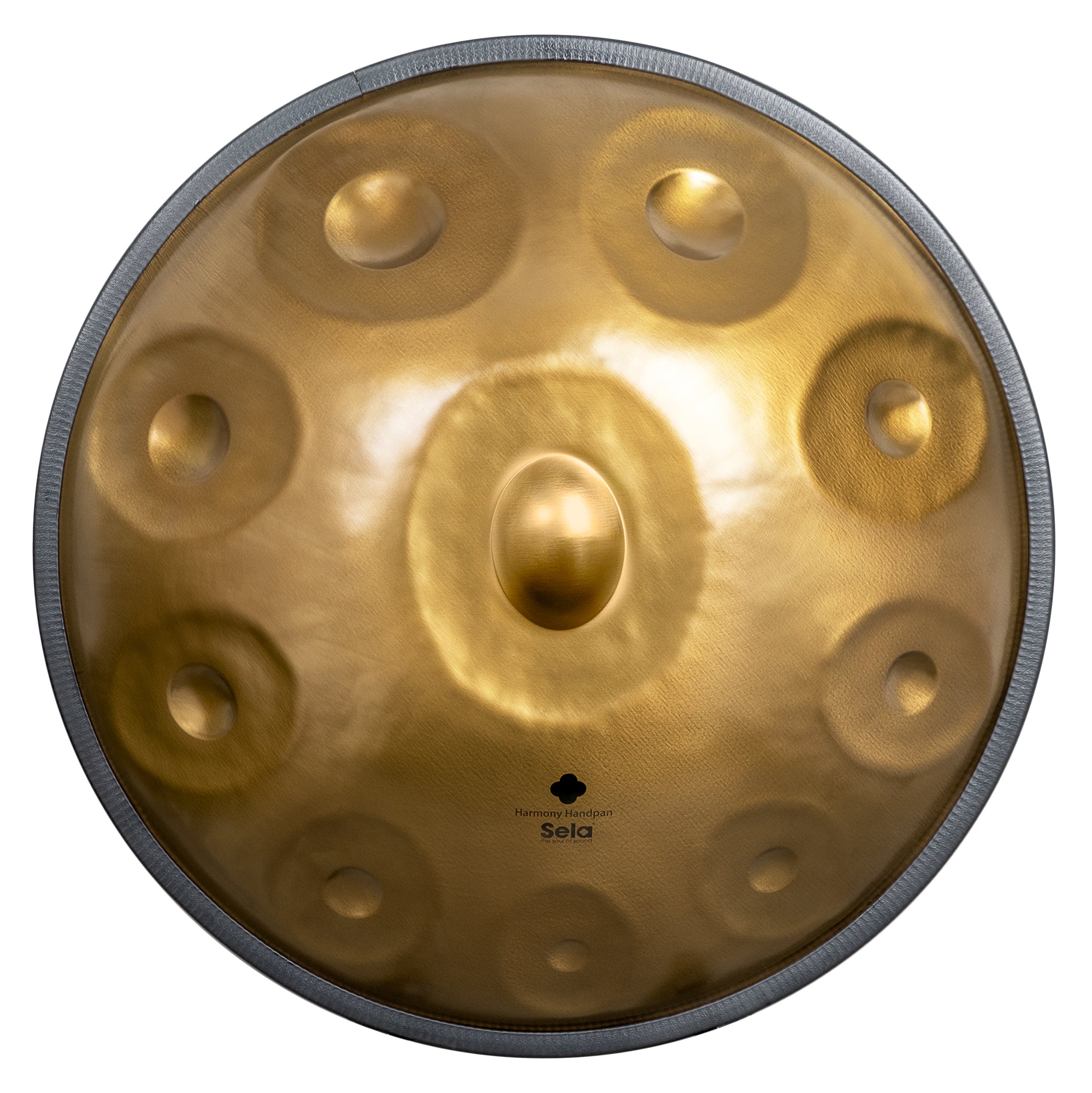 Harmony Handpan D Kurd 10 - Stainless Steel – Sela Percussion Shop