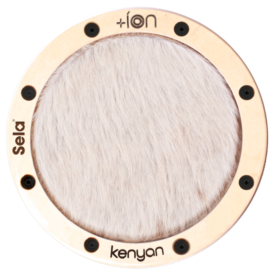 Kenyan íon