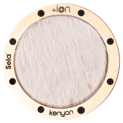 Kenyan íon
