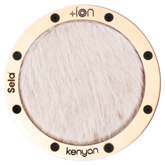 Kenyan íon