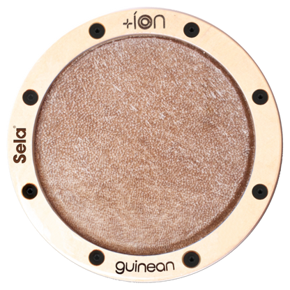 Guinean íon