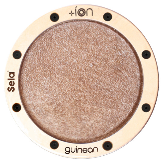 Guinean íon