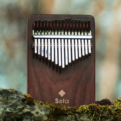 Sela Kalimba 17 Solid Black Walnut
