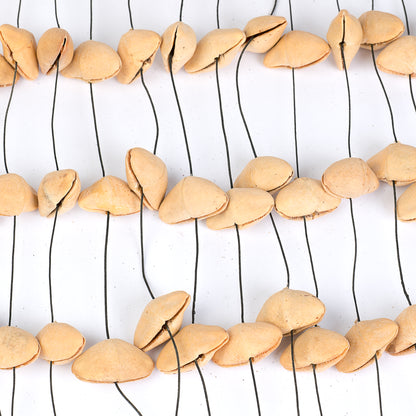 Sela Seed Chime Kenari