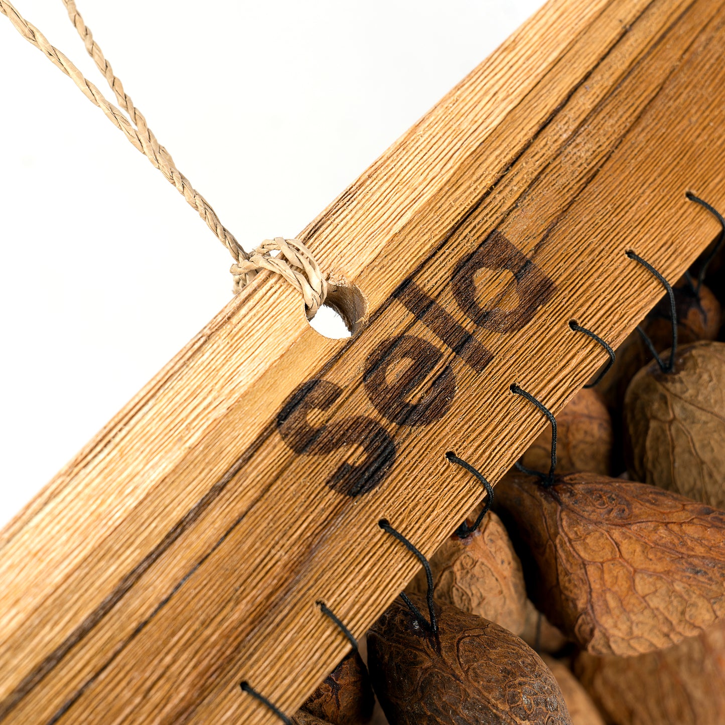 Sela Seed Chime Pangi