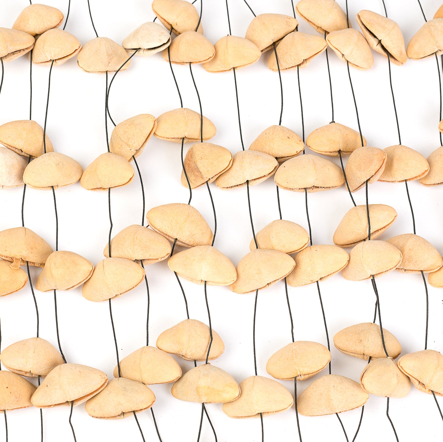 Sela Seed Chime Kenari XL