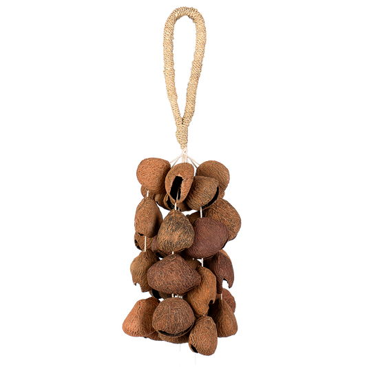 Sela Seed Shaker 4-row Pangi