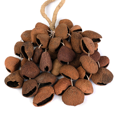 Sela Seed Shaker 4-row Pangi