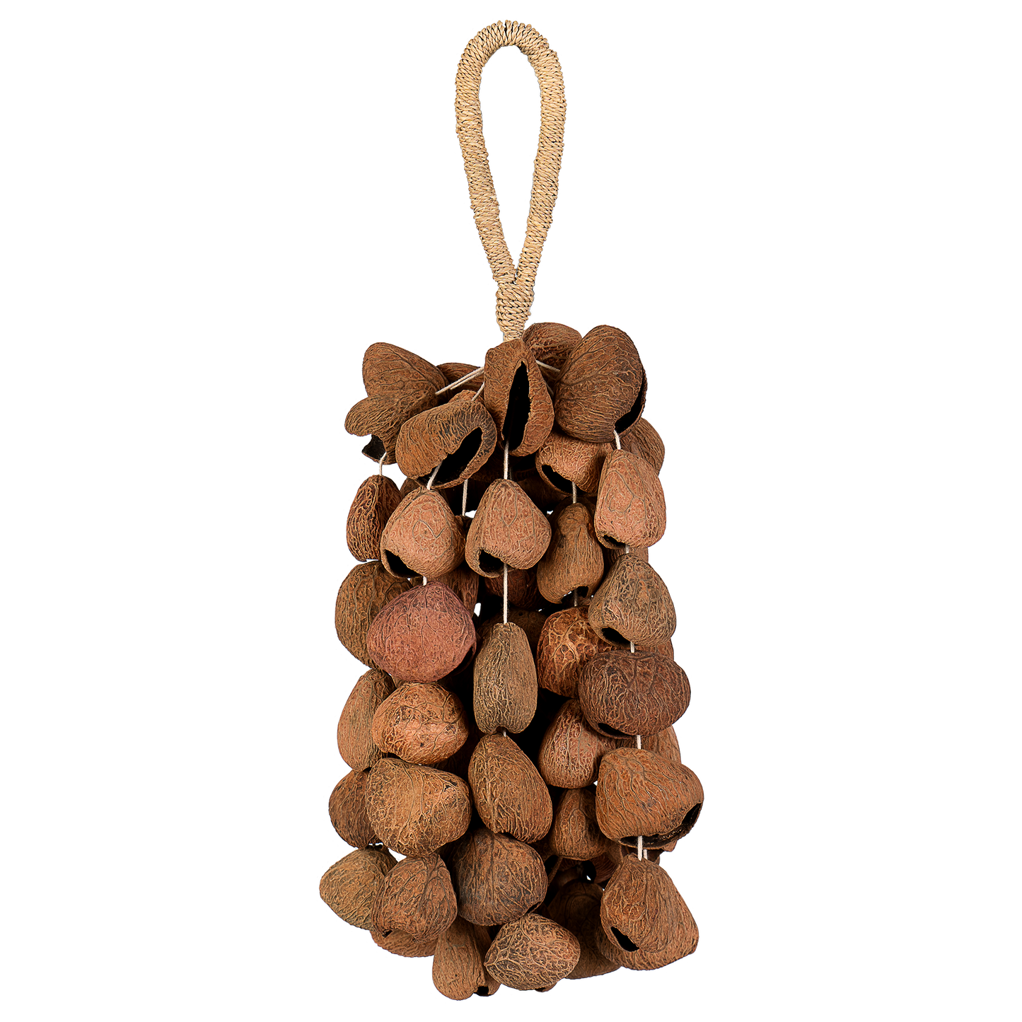 Sela Seed Shaker 6-row Pangi