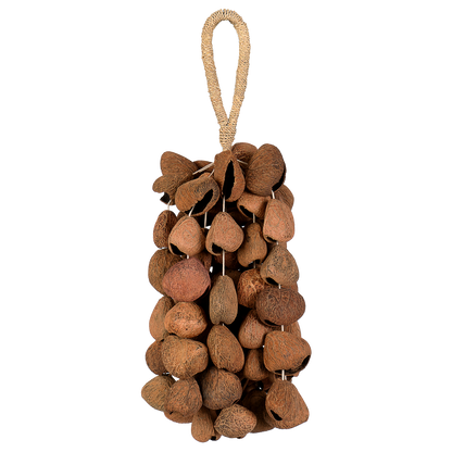 Sela Seed Shaker 6-row Pangi