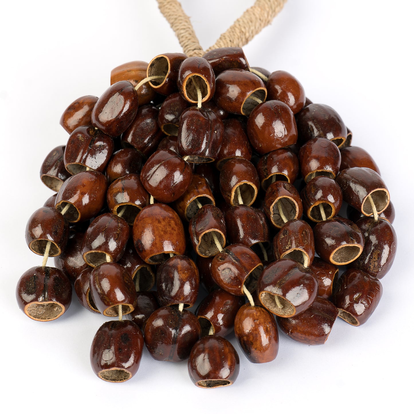 Sela Seed Shaker 6-row Pala